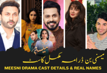 Meesni Drama Full Cast Details, Pictures, and Timings - HUM TV