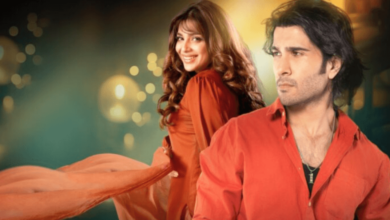 Akhara Drama: Review, Cast, Timing, and Ratings