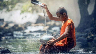 How Is Meditation Important to Buddhism and Moral Purity?