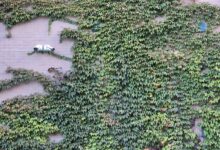 operational security evaluation taskforce