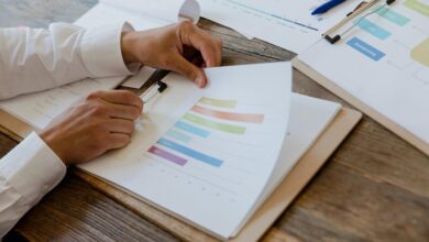 executive data summary report