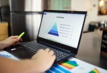 numerical data analysis insights