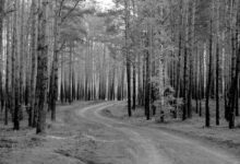 macro analytics framework overview