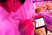 enhance development with technology