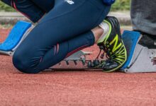 emerging fields momentum initiative