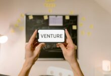 empowered growth in ventures