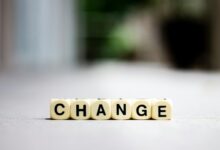 empowering transformative ideas forward