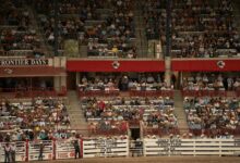 global creative opportunities ahead