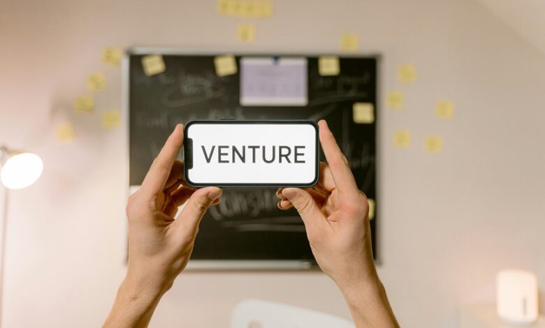 global ventures innovative steps