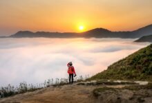 innovative visionary moves forward