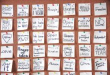 transformative creative projects launch