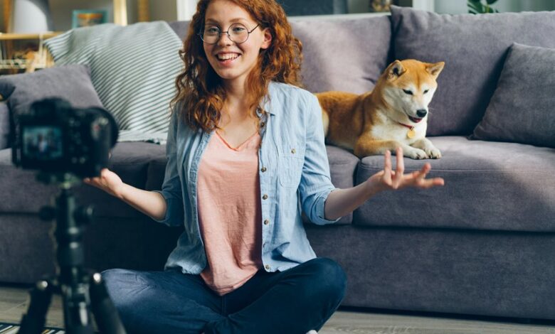 blog style dog advice by lovelolablog