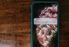 malicious phone number fraud check