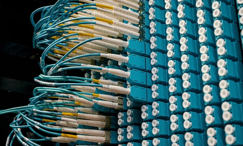 network service insight hub