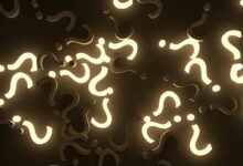 random keyword discovery hub