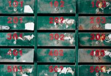 spam phone investigation portal lookups