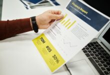 public registry reports ids overview