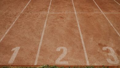 track registry lookup results summarized