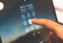 verified numbers only access granted