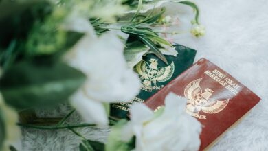 verified registry references identified for five ids