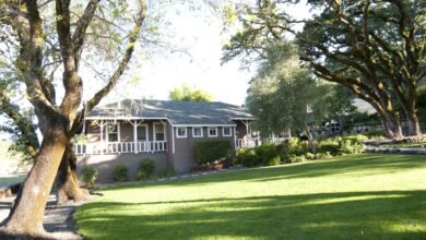 Navigating Withdrawal Safely: Inside the Medical Detox Programs at Mountain Vista Farm