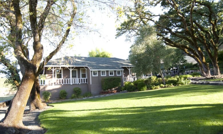 Navigating Withdrawal Safely: Inside the Medical Detox Programs at Mountain Vista Farm